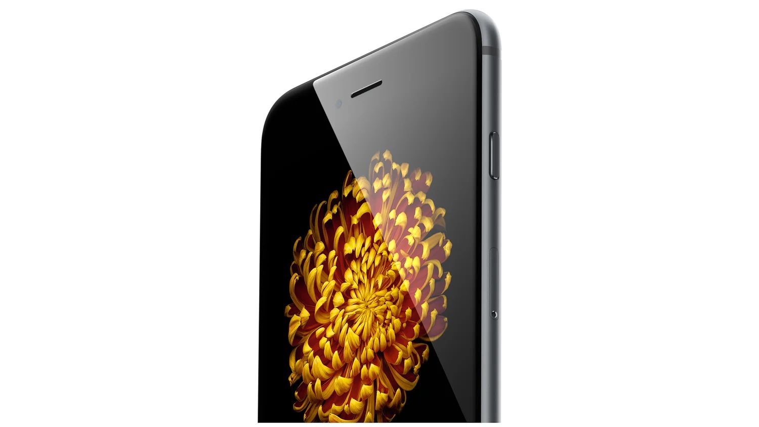 Iphone6 Web Launch